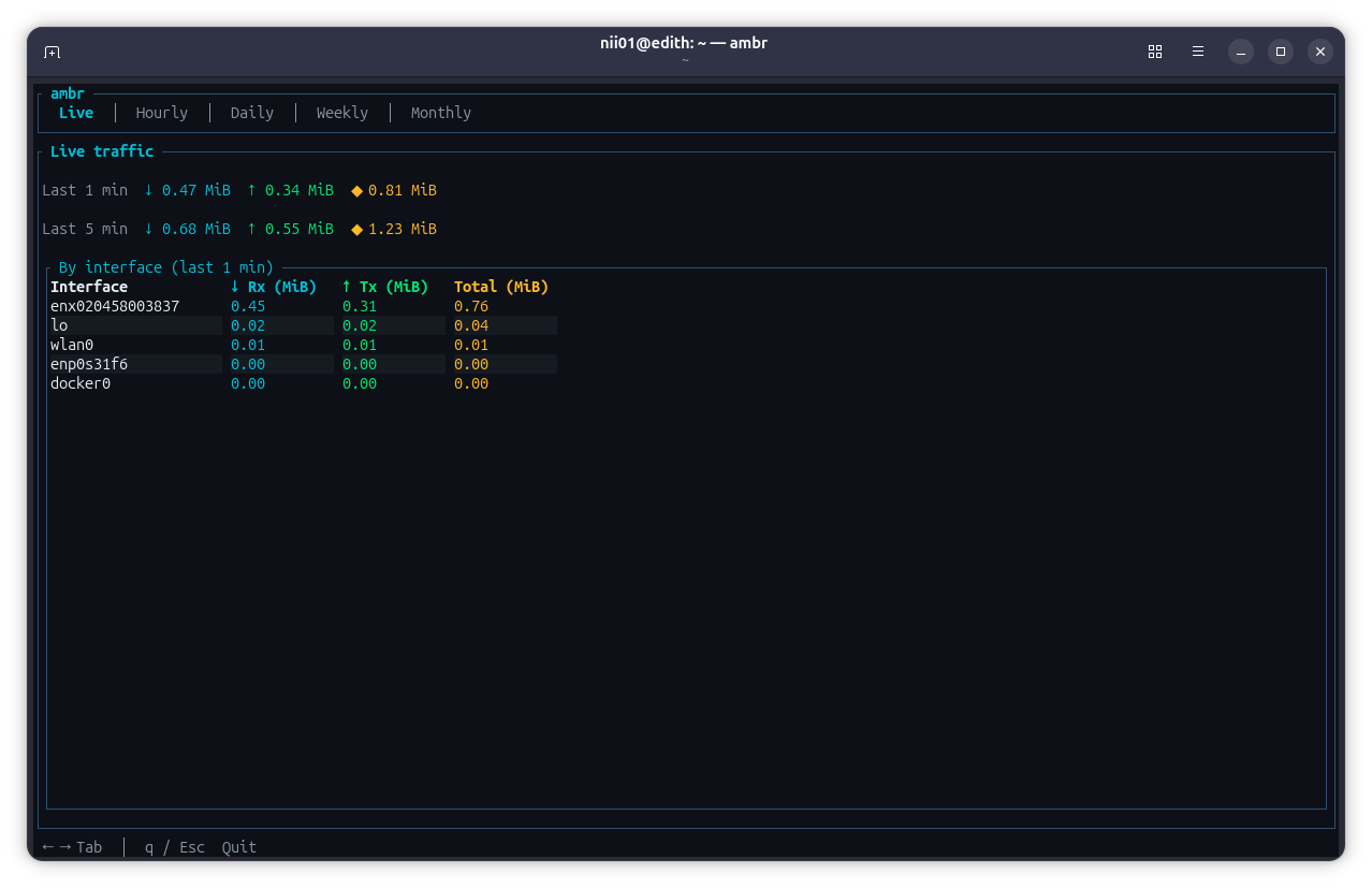 ambr terminal showing live network usage by process